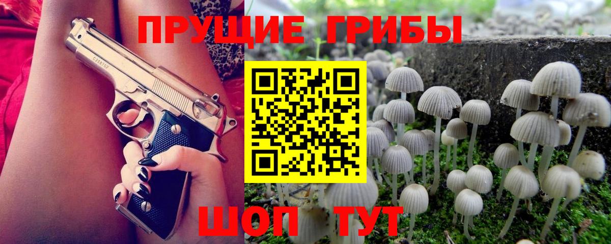 Псилоцибиновые грибы прущие грибы  Вход с VPN  Звенигород  Галлюциногенные грибы MAGIC MUSHROOMS 